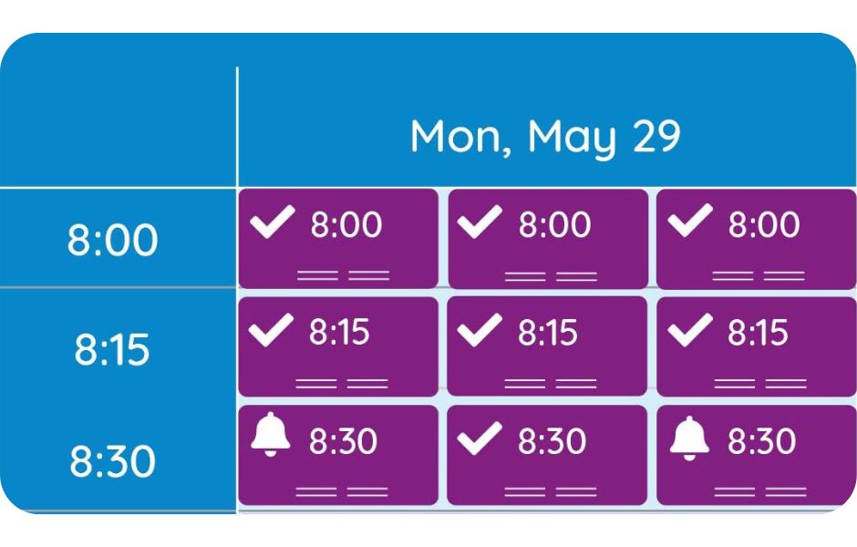 A chiropractor's GOrendezvous schedule where 3 adjustment appointments are scheduled at the same time